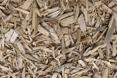 biomass boilers Durisdeer